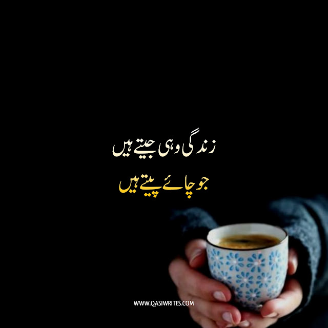 Chai Poetry | Best Tea Poetry in Urdu 2 Lines |Chai Shayari | Qasiwrites