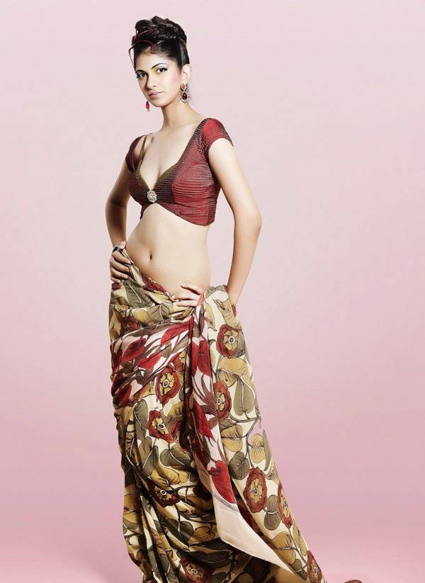 Indian Model Reha Hot Photoshoot in Saree