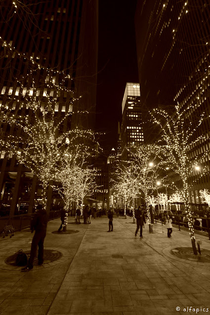 Luminarie natalizie-New York