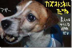 今日カズ１００４１７　８