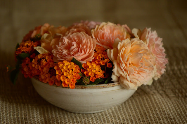 Monday vase meme, rose, Crown Princess Margareta, lantana, david austin rose, amy myers photography, amy myers ceramics, small sunny garden, desert garden