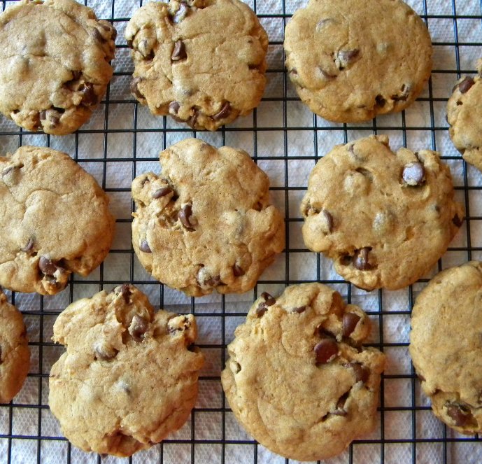 Monster cookies recipes amish