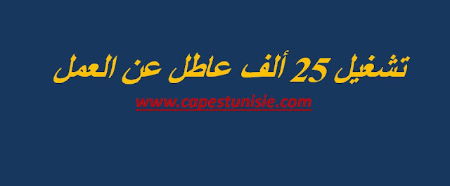 offre emploi tunisie 2017