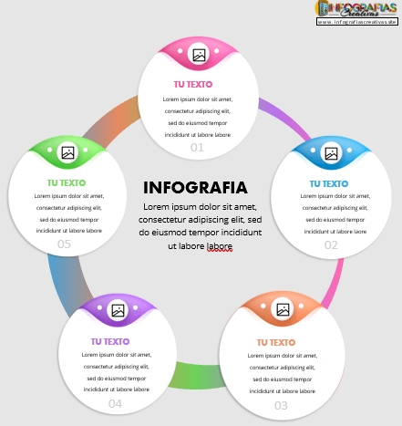 Infografia circular editable en Word