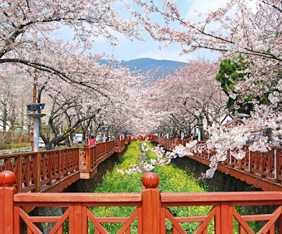 Jinhae-gu