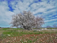 Murgia incontaminata