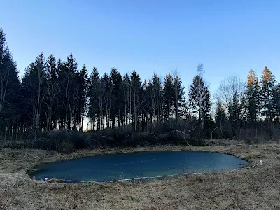 Teiche im Waldの池