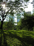 My New York City: Closer to Nature in Central Park