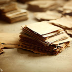 Piles of papers on a dusty floor