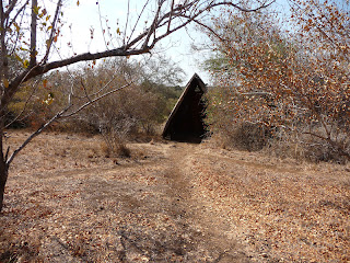 Kruger Park.