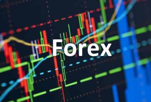 Forex Trading: Definition, Markets and Forex Basics