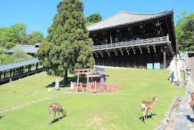 奈良公園 二月堂
