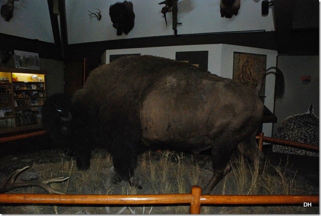 08-19-14 A National Bison Range (56)