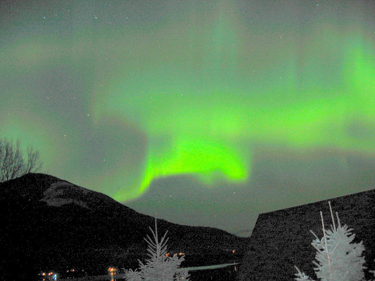 Northern Lights
