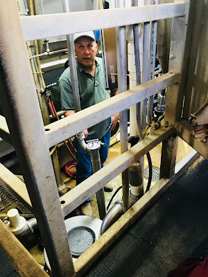 Photo of Dairy Farmer in the milking parlor