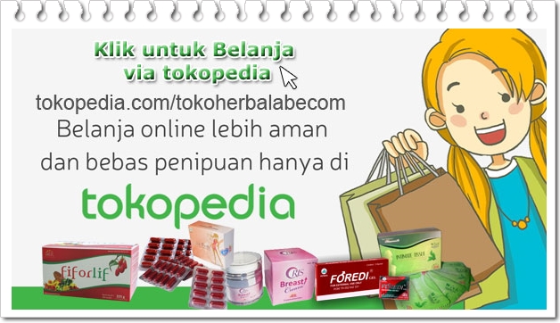 beli-ladyfem-di-tokopedia