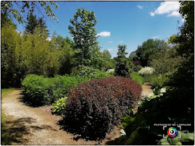 GELAUCOURT (54) - Jardin d'eau de l'Aubepré