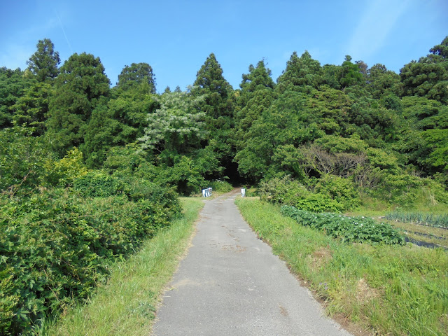 孝霊山登山口