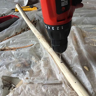 Drilling holes in a bare tree branch