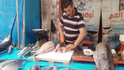 عودة ملكة البحر.. موسم التونة البيضاء ينطلق مبكرًا في دمياط