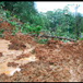 View album