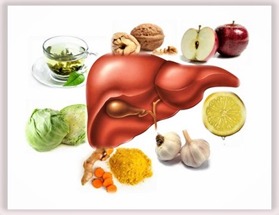 WHAT is the ROLE of the LIVER in DETOXIFICATION?!