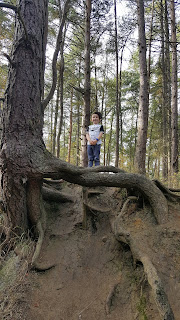 Irchester Country Park