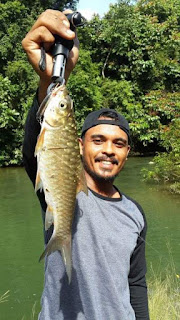 Teknik mancing masheer di sungai Aceh Besar Begini Teknik mancing masheer di sungai Aceh Besar