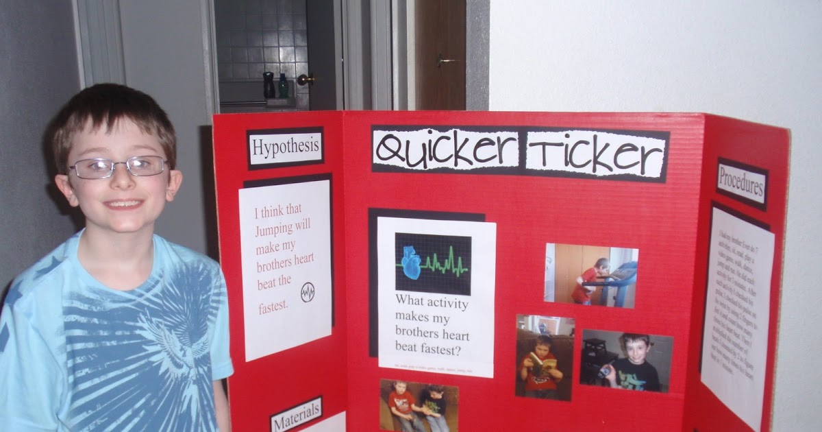 buy science fair projects