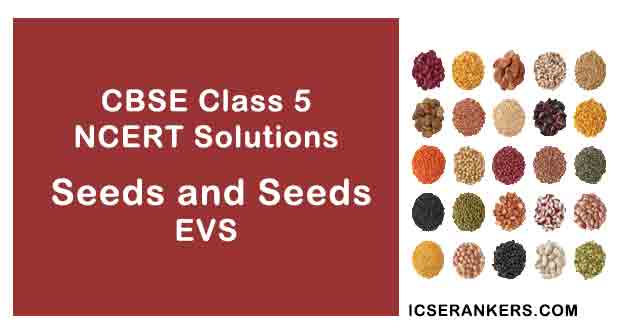 NCERT Solutions for Class 5th EVS Chapter 5 Seeds and Seeds