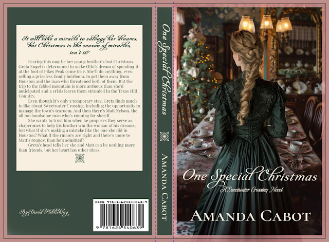 preliminary full cover
