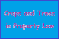 Ownership, Title and The Limits of Ownership - Crops and Trees in Property Law