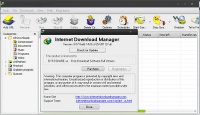 Internet Download Manager IDM 6.07 Build 14