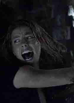 Crawl release date box office collection