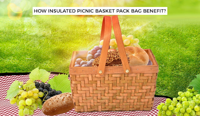 Picnic Gear