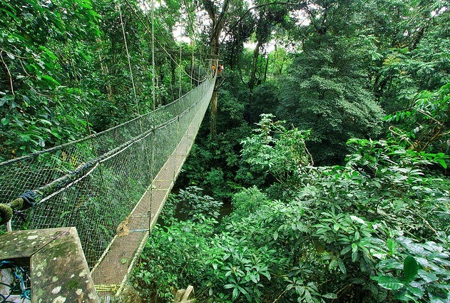 Vườn quốc gia Gunung Mulu - Vẻ Đẹp Tự Nhiên Malaysia