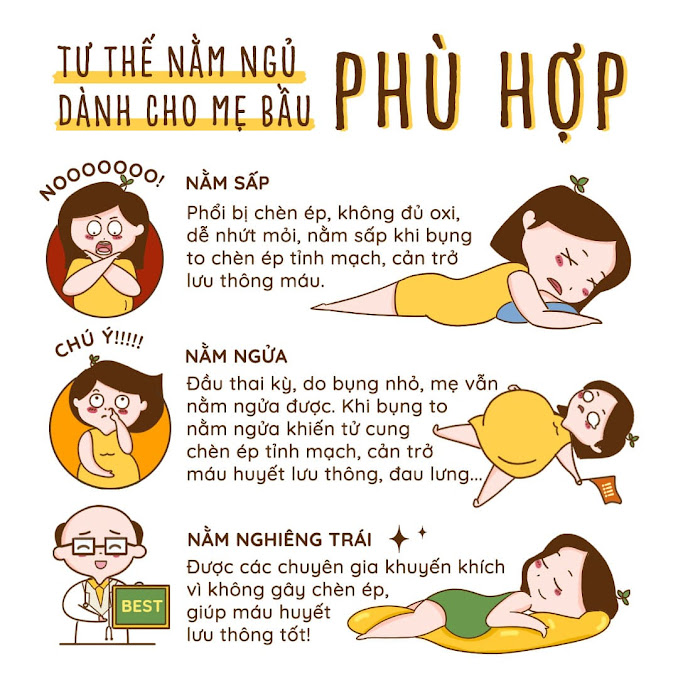 [A159] Mẹ Bầu mấy tháng nên dùng gối bầu Đậu Khuyết