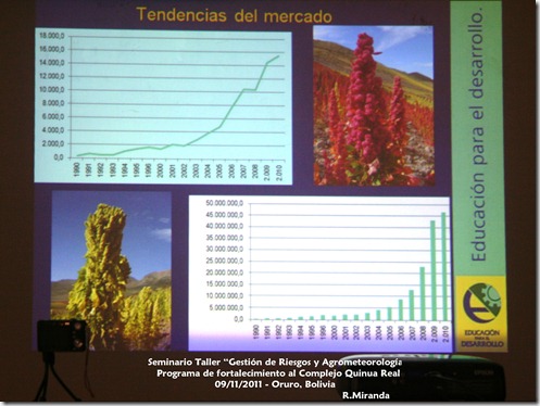 Tendencias del Mercado de la Producción y Exportación de la Quinua Real_R.Miranda Tendencias del Mercado de la Producción y Exportación de la Quinua Real_R.Miranda