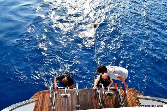 Diving in the Red Sea - Sharm El Sheik