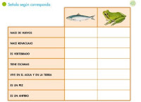 http://primerodecarlos.com/SEGUNDO_PRIMARIA/tengo_todo_4/root_globalizado4/libro/6169/ISBN_9788467808803/activity/U05_179_02_AI/visor.swf