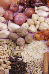 bumbu nasi megono khas pekalongan