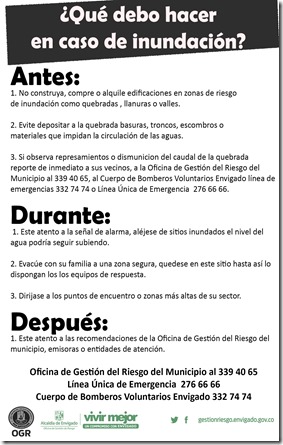 volante simulacro atras