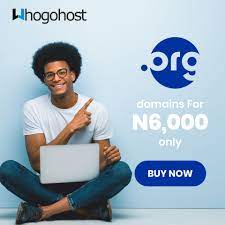 Whogohost .org domain promo
