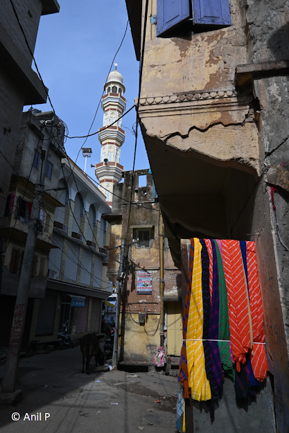 Leheriya Fabric On Sale Jaipur