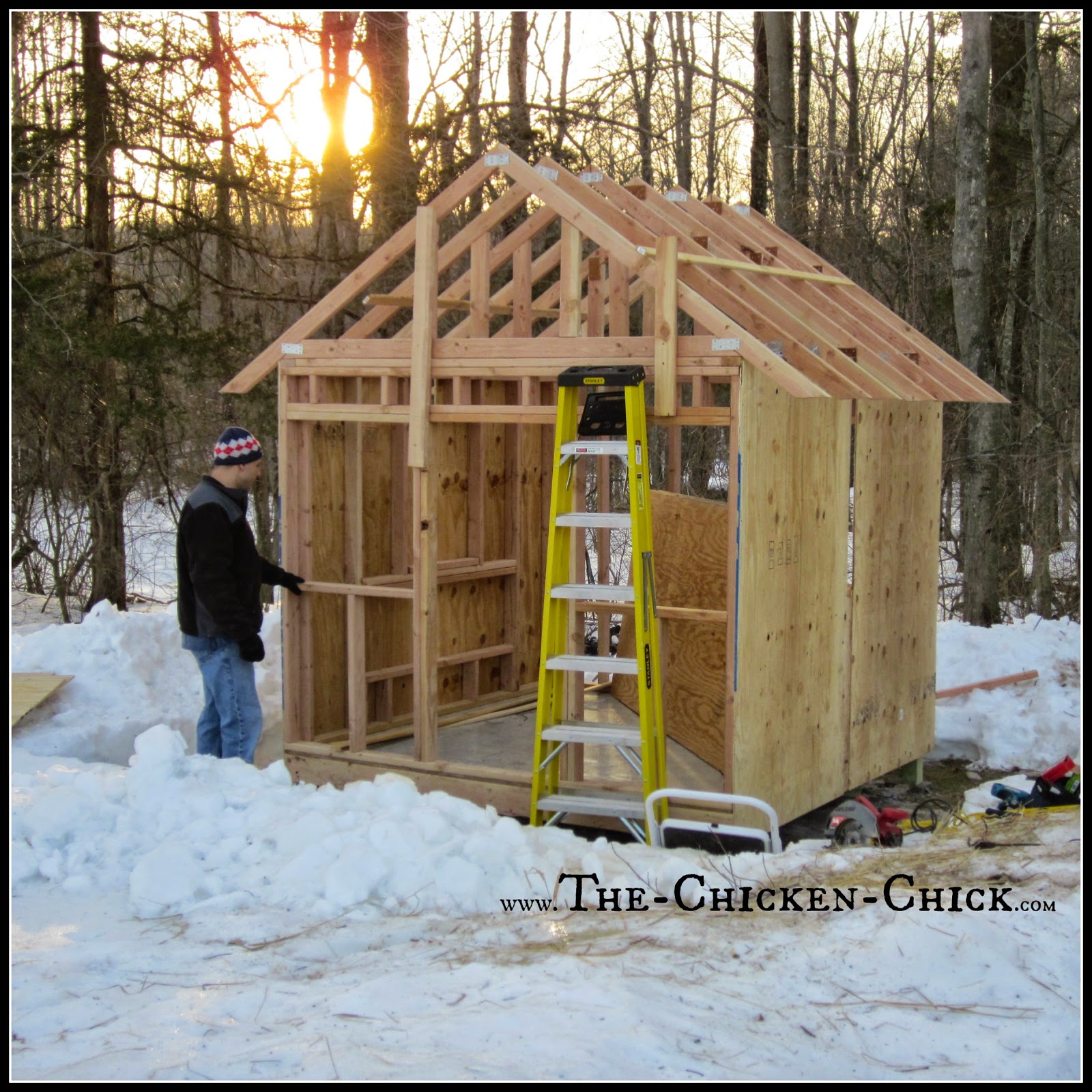 at least 4 square feet per bird inside the coop. Plan a bigger coop 