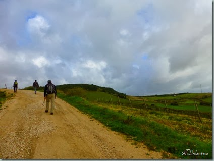 P1070835 P1070835
