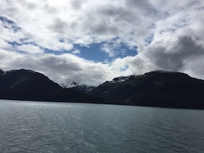 Kenai Fjords National Park orca (killer whale) in bay