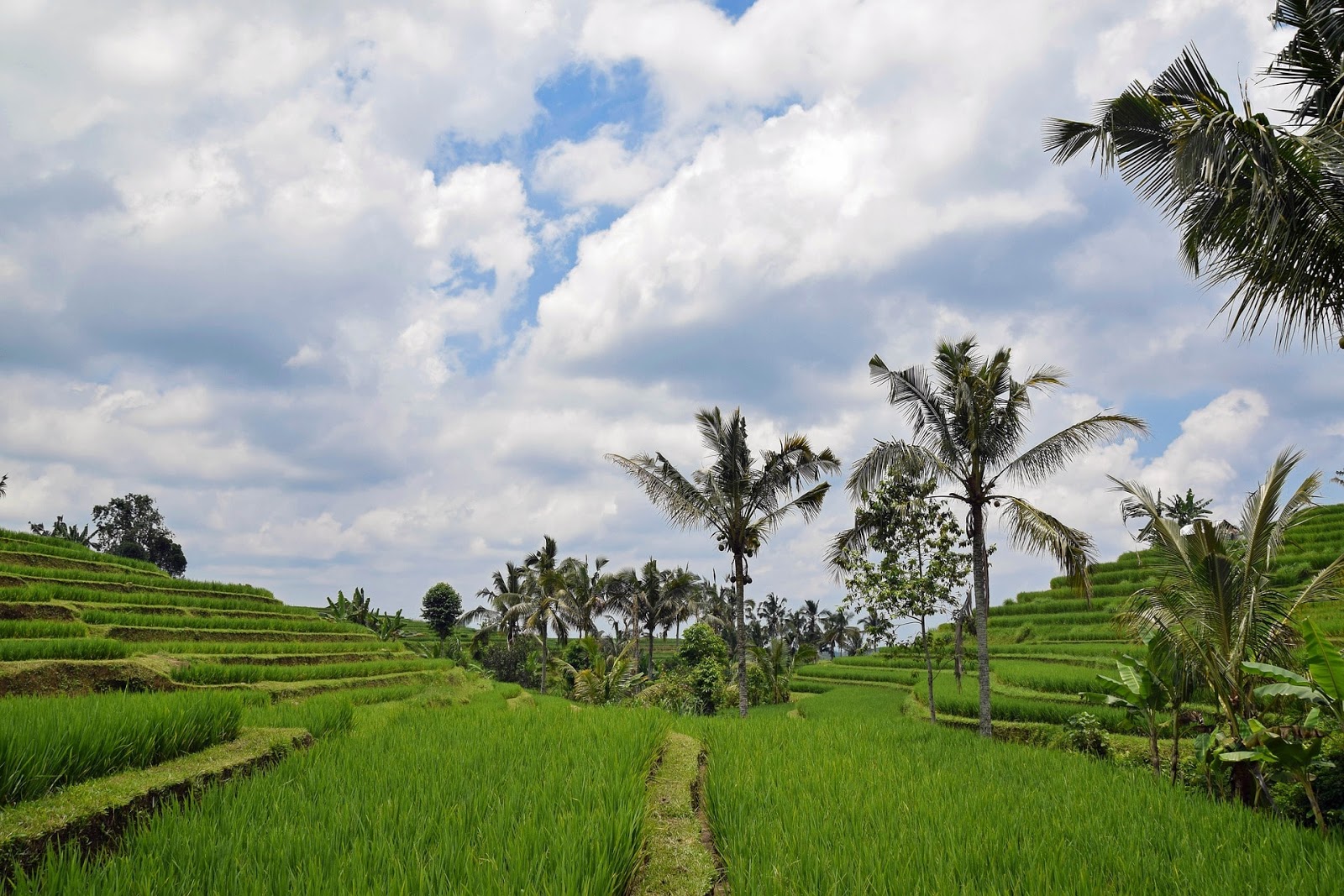 Koleksi Pemandangan Alam Asli Indonesia Hd Gambar Indah