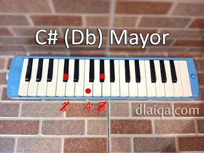 akor C# (Db) Mayor