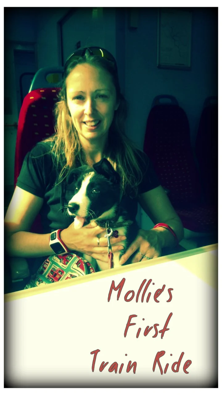 Mollies First Train Ride: Mollie The Collie Diaries 